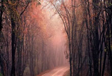 情感素描二题  南也 / 文