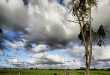 香痕映夜，念母无眠   陶娟 / 文