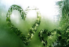 宁南县历史沿革