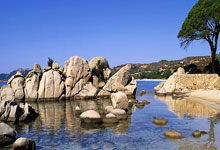 那年盛夏的爱与暖  魏鑫桂 / 文